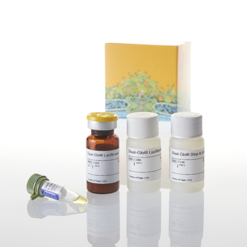 DualGlo Luciferase Assay System Nerliens Meszansky AS